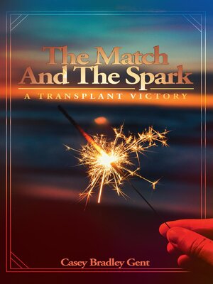 cover image of The Match and the Spark